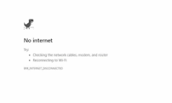 Internet not working despite proper connections.